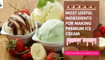 Most Useful Ingredients for Making Premium Ice Cream